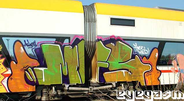 mfs02.jpg