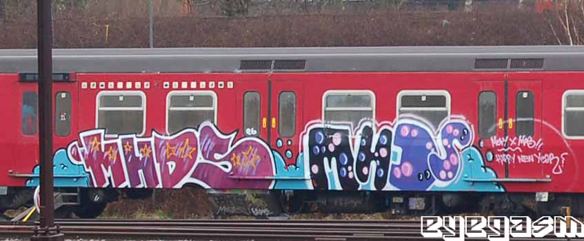 mhds-mhds01.jpg