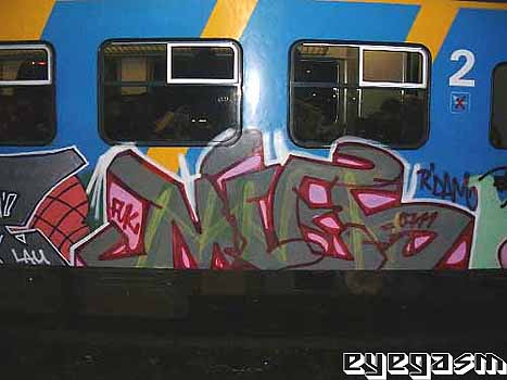 mies01.jpg