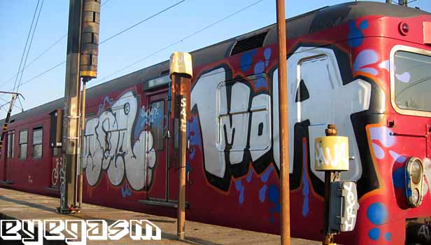 moa-moa02.jpg