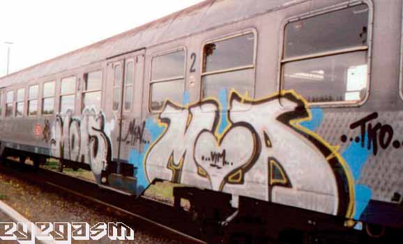 moas-moa01.jpg