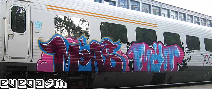 moas-moa02.jpg
