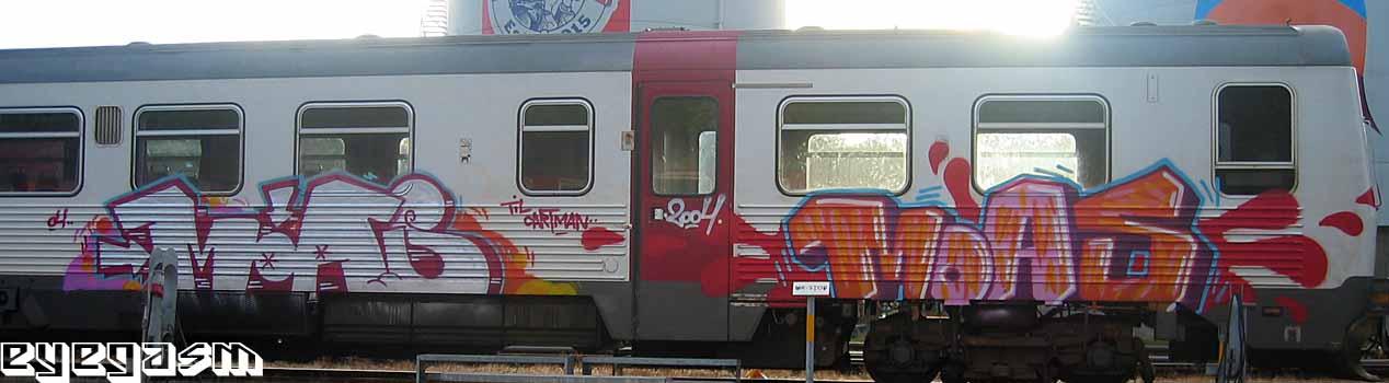 moas-moas02.jpg