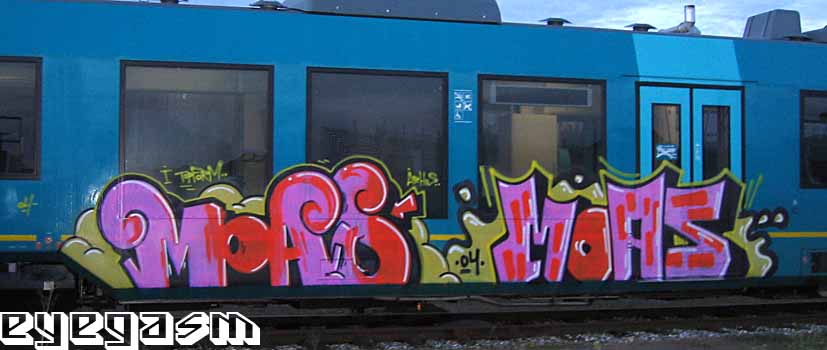 moas-moas03.jpg