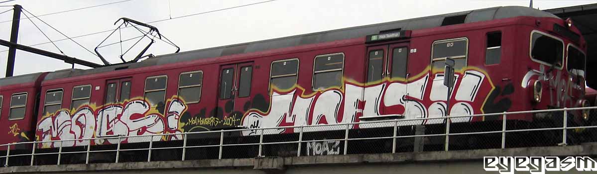 moas-moas04.jpg
