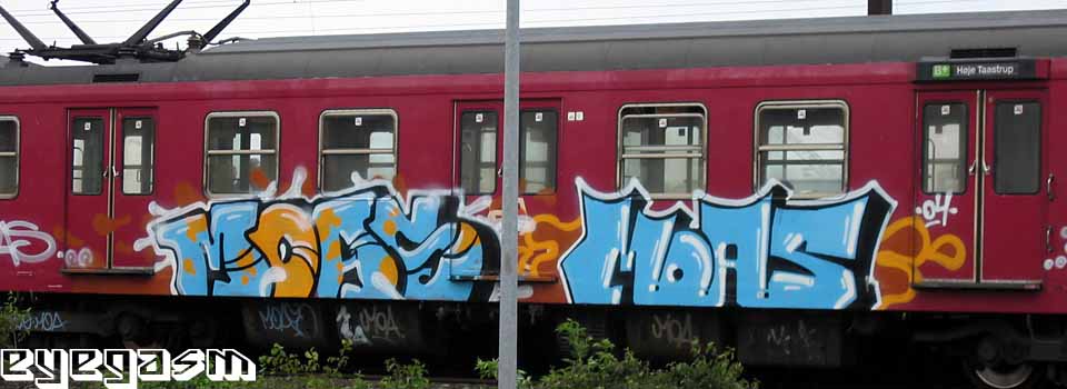 moas-moas05.jpg