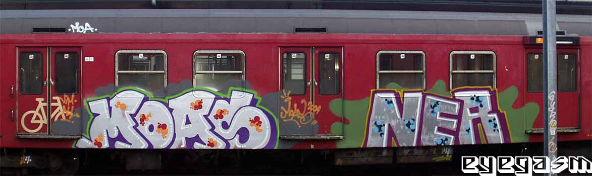 moas-ner01.jpg