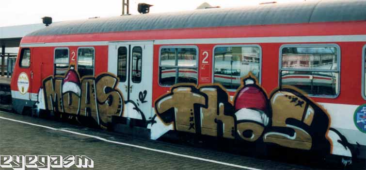 moas-tkos01.jpg
