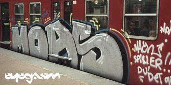 moas03.jpg