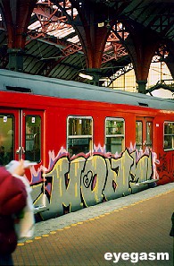 moas09.jpg
