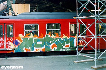 moas11.jpg