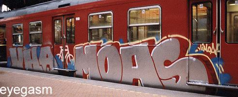 moas27.jpg