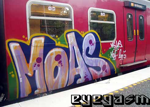 moas71.jpg