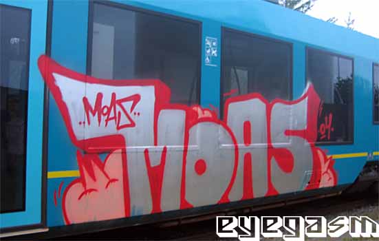 moas80.jpg
