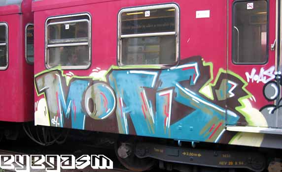 moas83.jpg