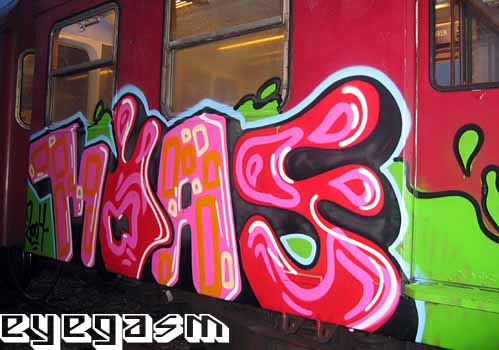 moas86.jpg