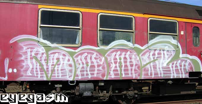 moaz07.jpg