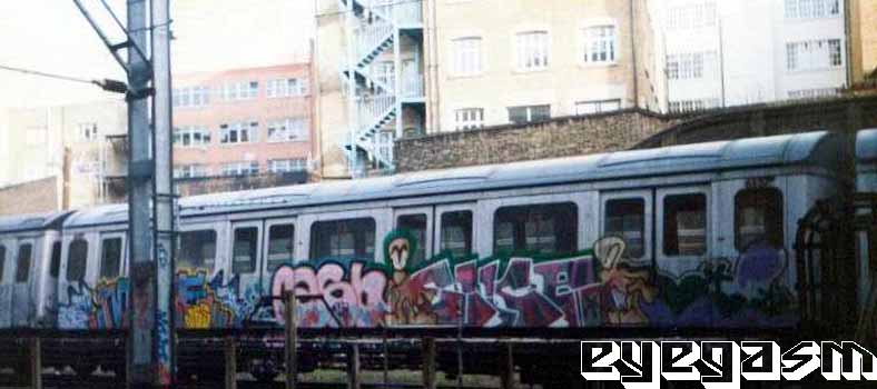 more-rash-sikeo01.jpg