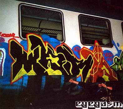 morid01.jpg