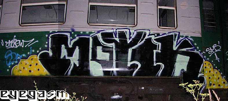 motyk01.jpg