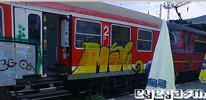 msc01.jpg
