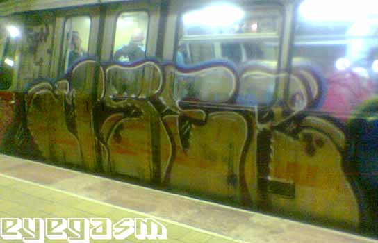 mser01.jpg