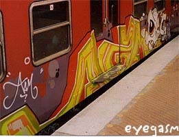 msn03.jpg