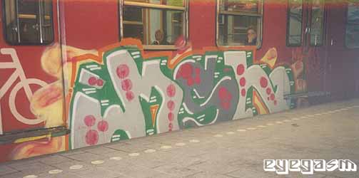 msn06.jpg