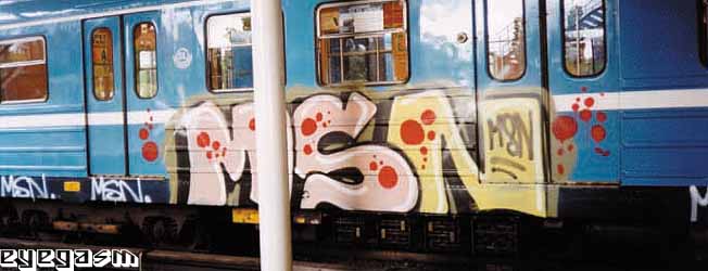 msn07.jpg