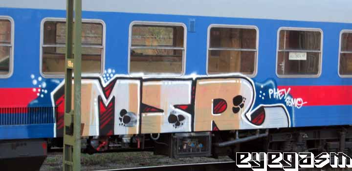 msr01.jpg