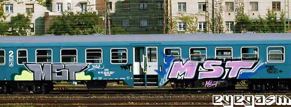 mst-mst02.jpg