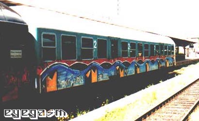 mtve01.jpg