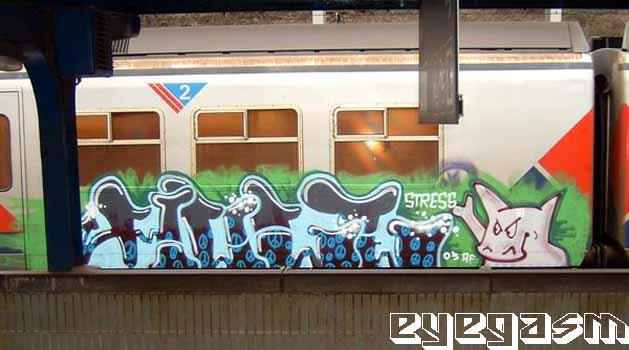 mule02.jpg