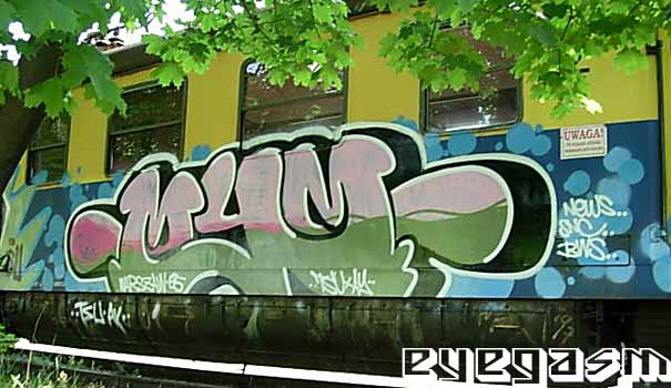 mym01.jpg