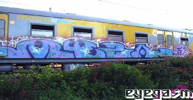 myza01.jpg