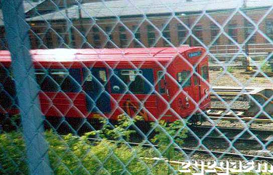 n01.jpg