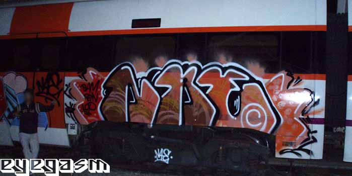 nae03.jpg