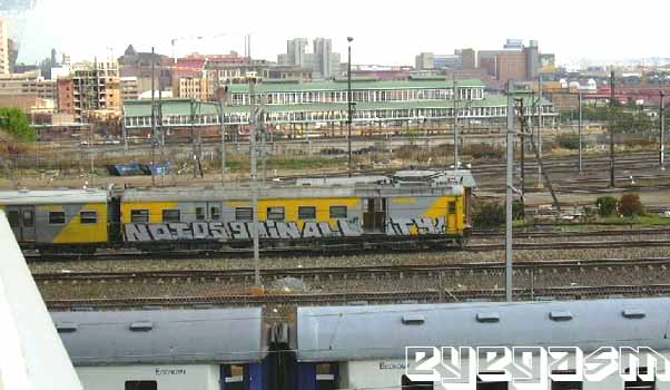 naids-goin-all-city01.jpg