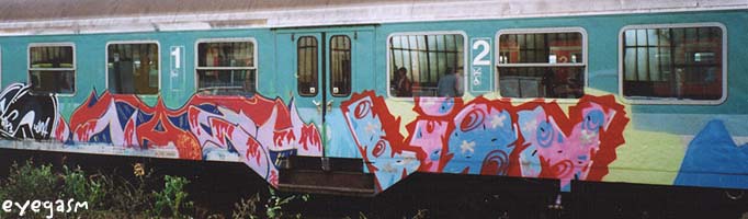 nash-lion01.jpg