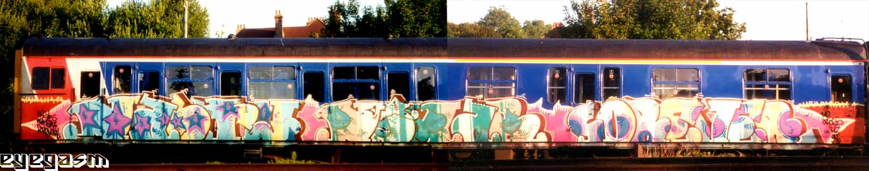 nasty-nimar-forever01.jpg