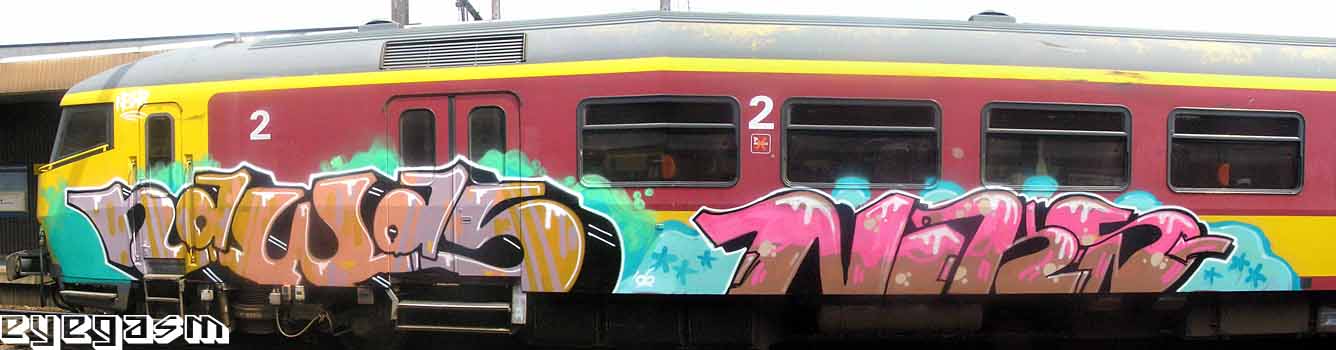 nawas-niks01.jpg