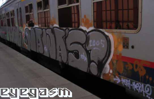 nawas01.jpg