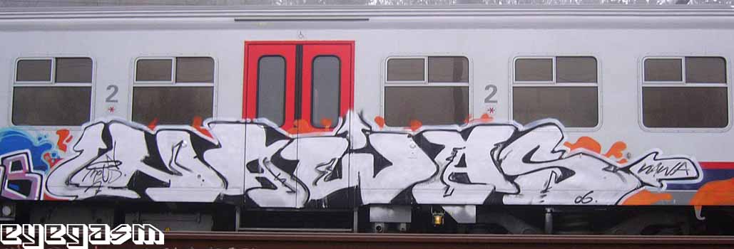 nawas04.jpg
