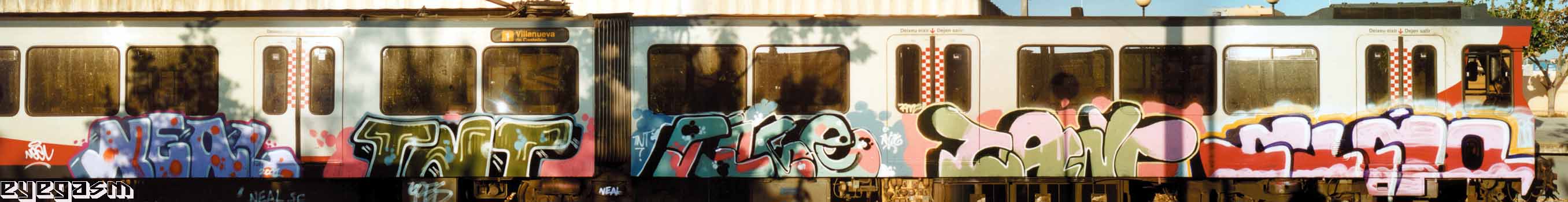 neal-tnt-rige-zant-cino01.jpg