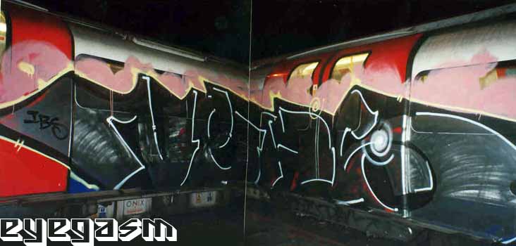 neas01.jpg