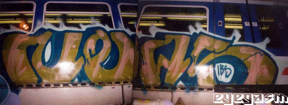 neas02.jpg