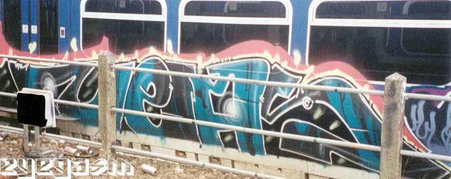 neas03.jpg