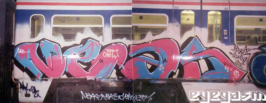 neas04.jpg