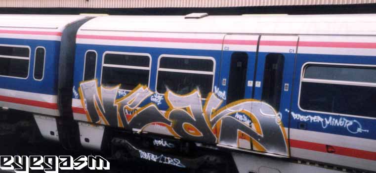neas05.jpg
