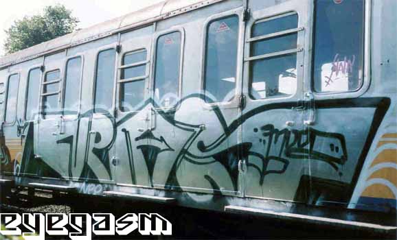 neas07.jpg